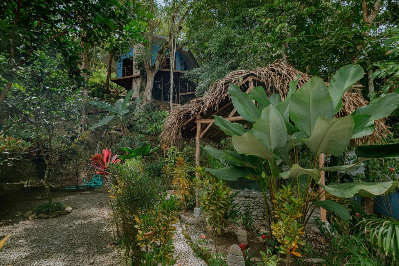 Oasis Diverse Adult Retreat Bed and breakfast Quepos